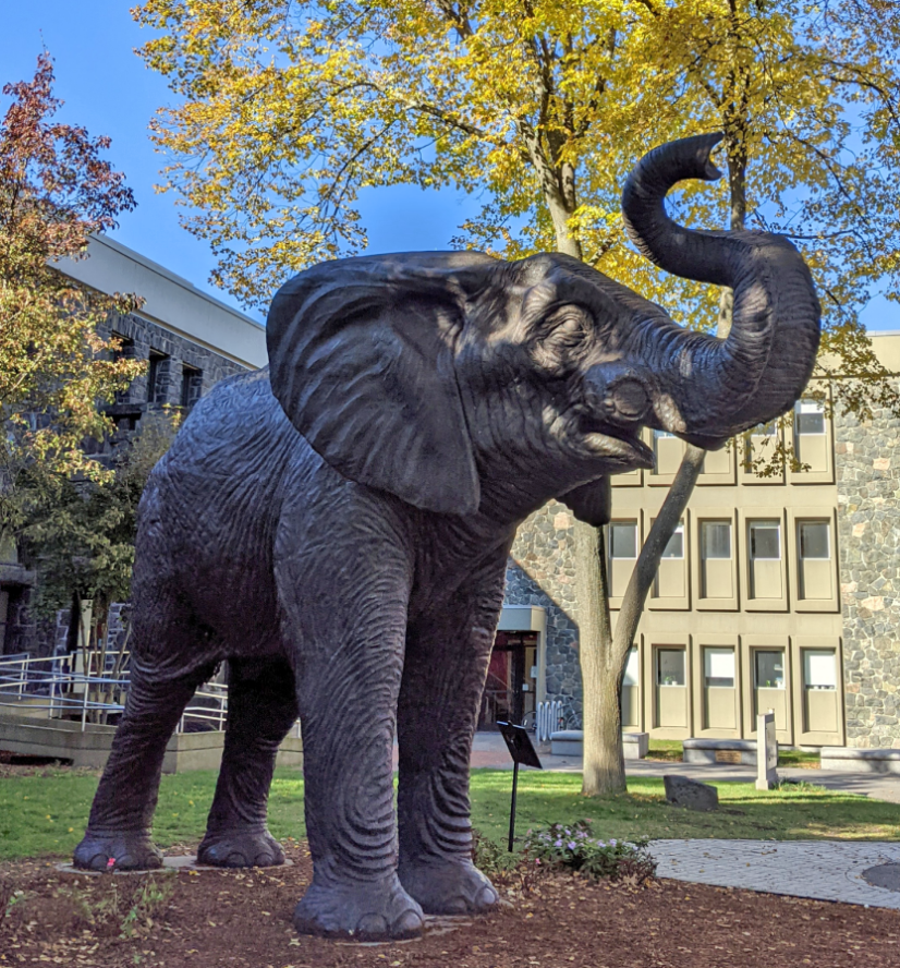 Statue of Tufts elephant mascot Jumbo on a sunny day on Medford campus