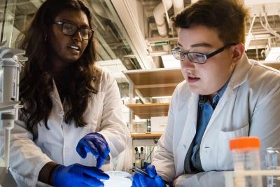 Nirosha Murugan, Postdoctoral Scholar, and Johanna Bischof, Postdoctoral Scholar discuss the slime mold experiments that Murugan is running at the Allen Discovery Center lab